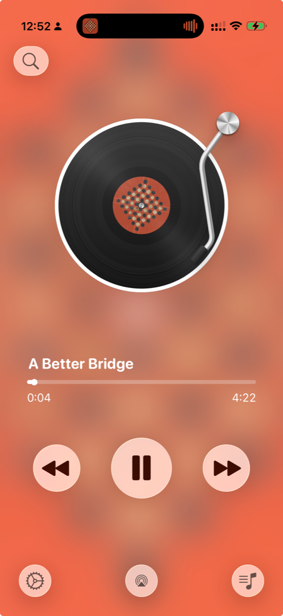 Vinyls iPhone screenshot 7