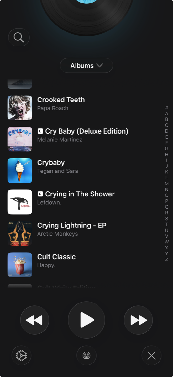 Vinyls iPhone screenshot 8